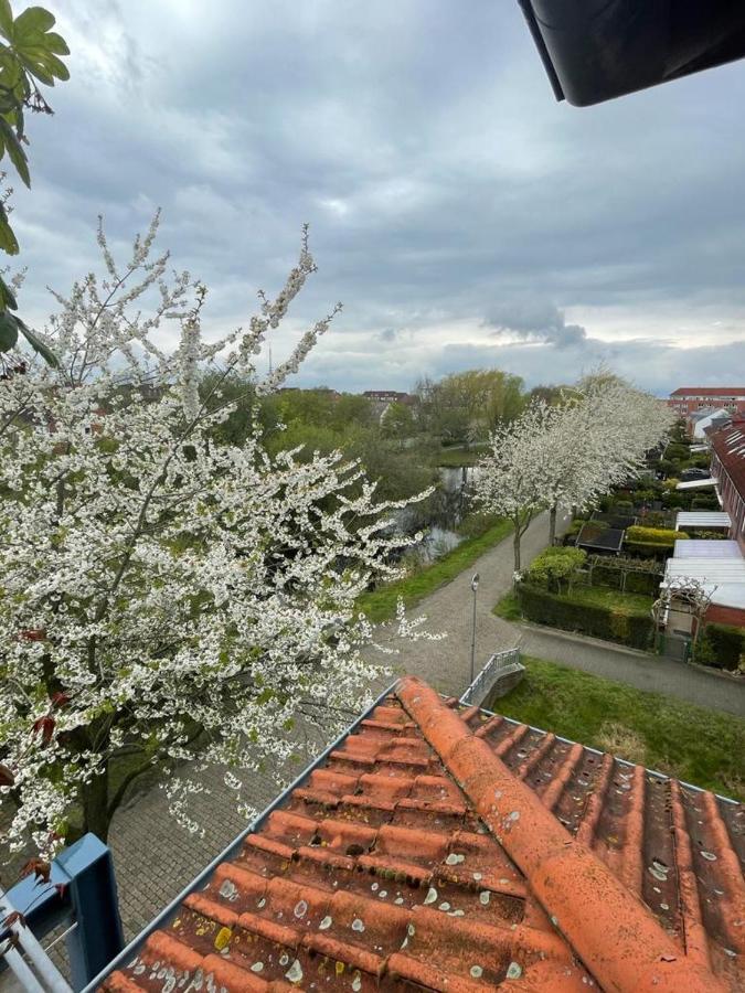 Grosszugige Wohnung In Findorff Bremen Exterior foto